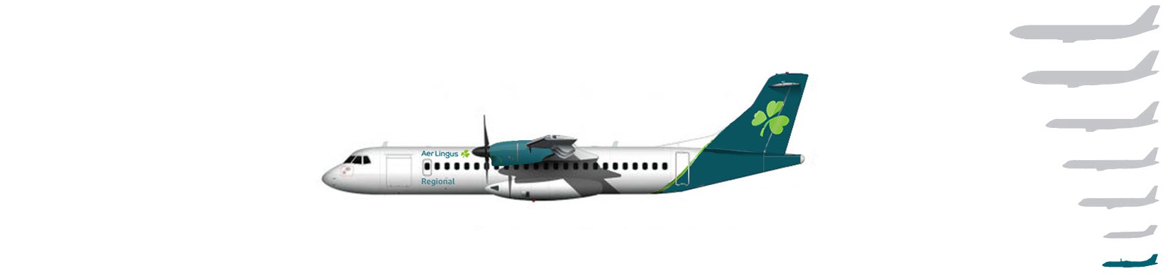 aer lingus regional hand luggage